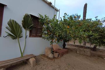 Photo 37