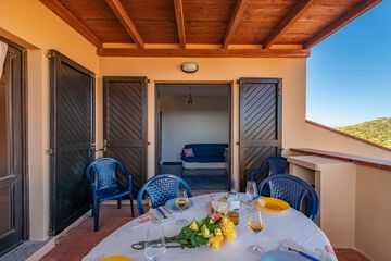 Terrace or patio