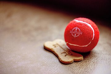 Pet-friendly amenities