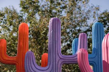 Outdoor wedding area
