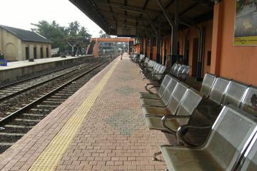 Photo 12