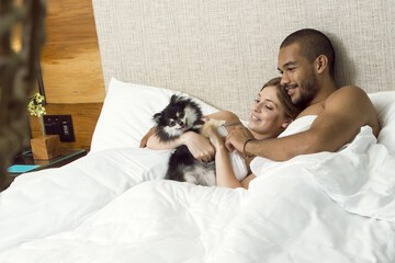 Pet-friendly