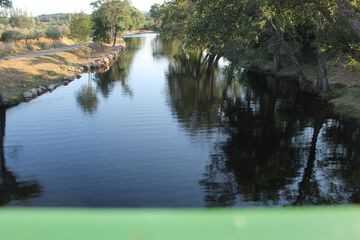 Natural pool