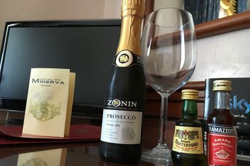 Mini-refrigerator