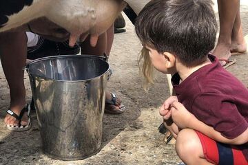 Children's activities