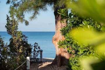 Beach/ocean view