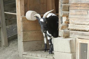 Photo 24