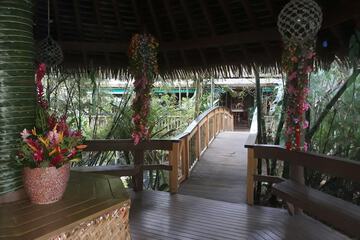 Outdoor wedding area