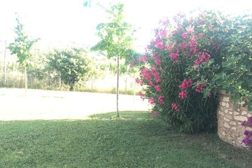 Courtyard view