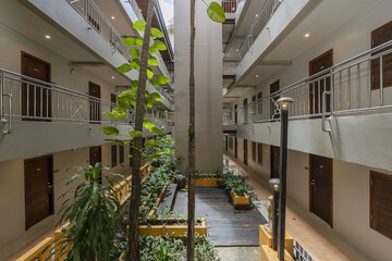 Park view