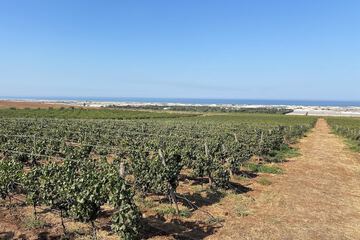 Winery