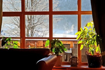 Land view from property
