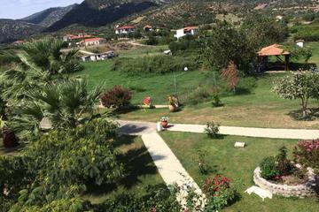 Photo 44