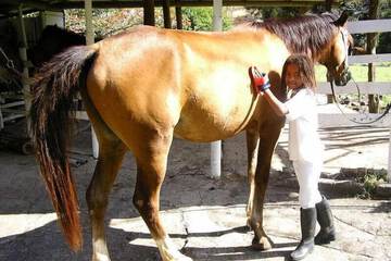 Horseback riding