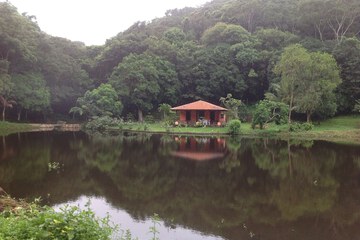 Lake view
