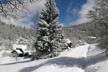 Land view from property