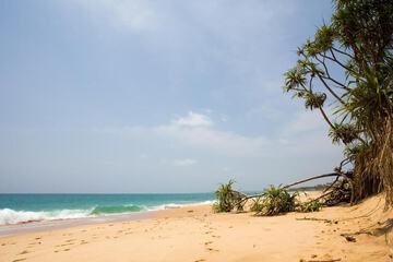 Beach/ocean view