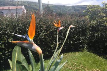 Photo 36