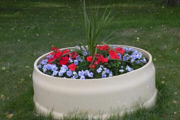 Photo 35