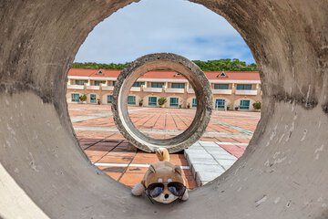 Pet-friendly amenities
