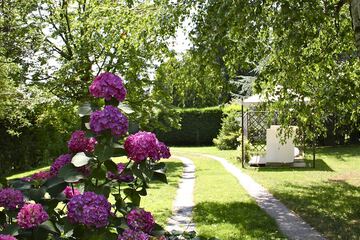 Outdoor wedding area