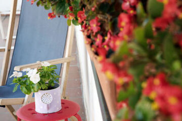 Terrace or Patio