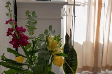 Photo 58