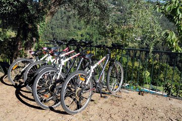 Bicycling