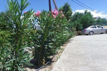 Photo 28