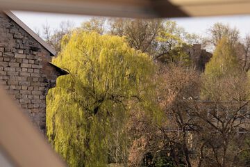 City view from property