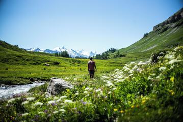 Hiking