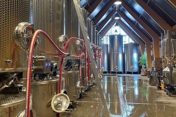 Winery