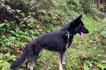 Photo 28