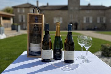 Vineyard
