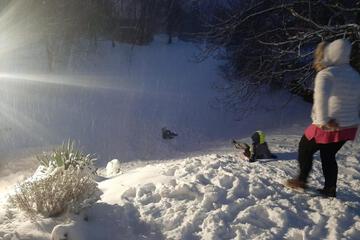Photo 47