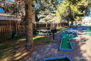 Mini-golf