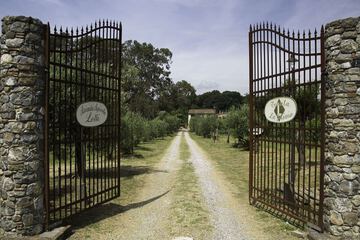 Winery
