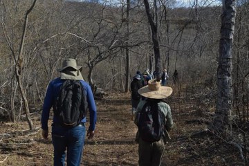 Game drive