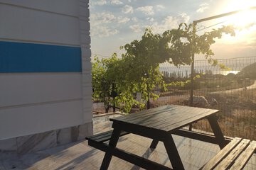 Lake view