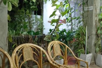 Photo 38