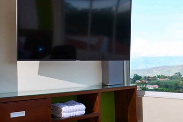 Television