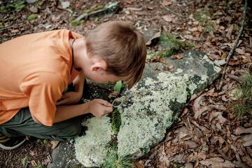 Children's activities