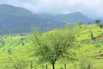Mountain view