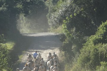 Horseback riding