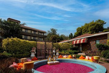 Outdoor wedding area
