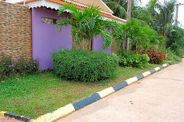 Photo 36