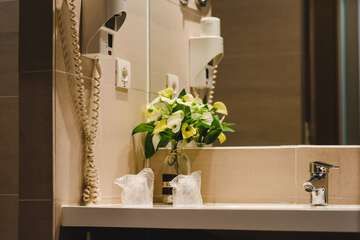 Bathroom sink