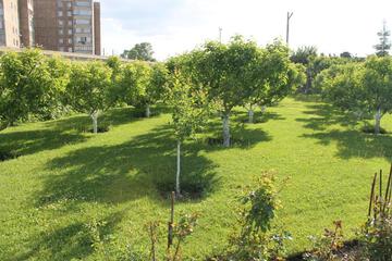 Photo 44