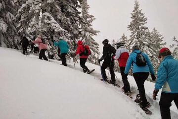 Snowshoeing