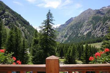 Mountain view